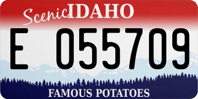 ID license plate E055709