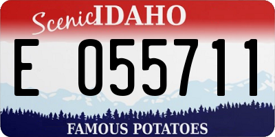 ID license plate E055711