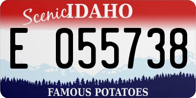 ID license plate E055738