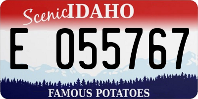 ID license plate E055767