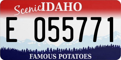 ID license plate E055771