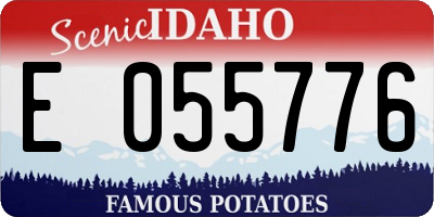 ID license plate E055776