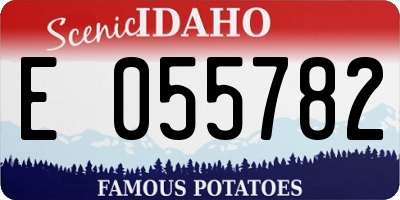 ID license plate E055782