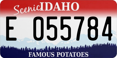 ID license plate E055784