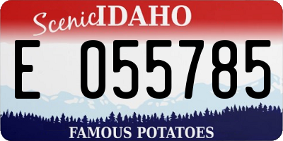 ID license plate E055785