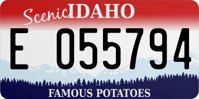 ID license plate E055794