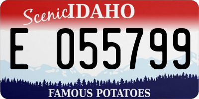 ID license plate E055799