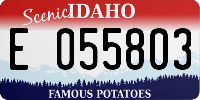 ID license plate E055803