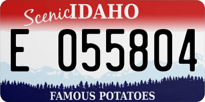 ID license plate E055804