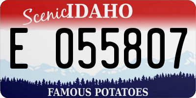 ID license plate E055807