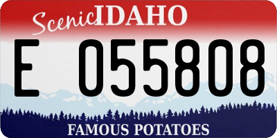 ID license plate E055808
