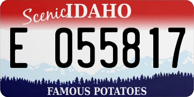 ID license plate E055817