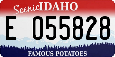 ID license plate E055828