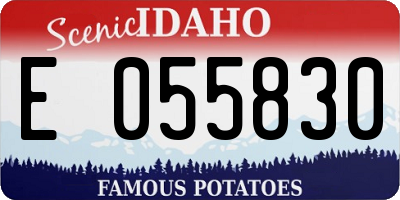 ID license plate E055830
