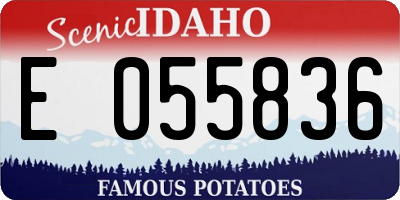 ID license plate E055836