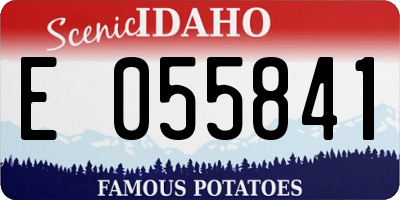 ID license plate E055841