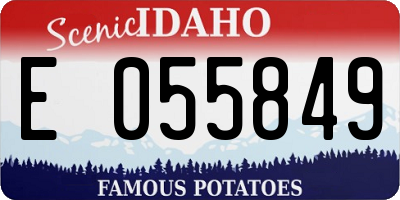 ID license plate E055849