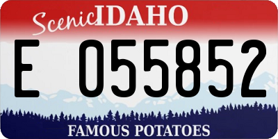 ID license plate E055852