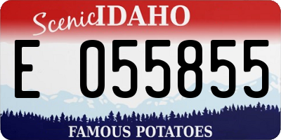 ID license plate E055855
