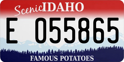 ID license plate E055865