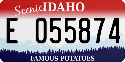 ID license plate E055874