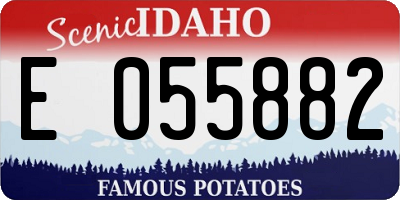 ID license plate E055882