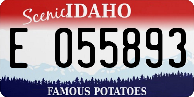 ID license plate E055893