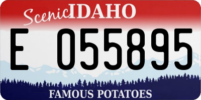 ID license plate E055895