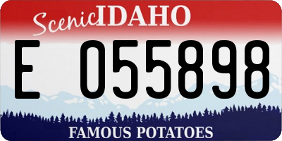 ID license plate E055898