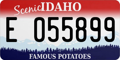 ID license plate E055899