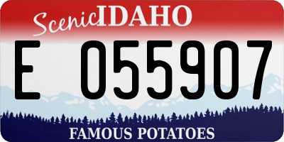 ID license plate E055907