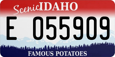 ID license plate E055909