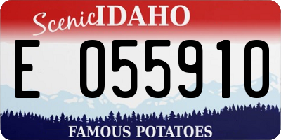 ID license plate E055910
