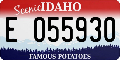 ID license plate E055930