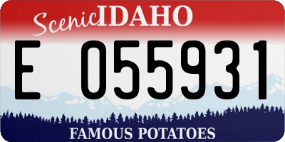ID license plate E055931