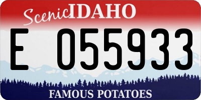 ID license plate E055933