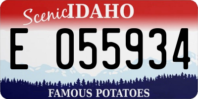 ID license plate E055934