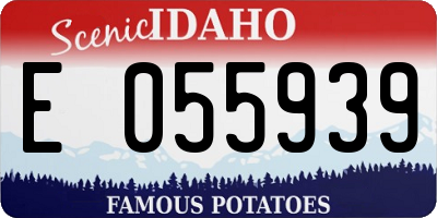 ID license plate E055939