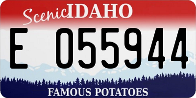 ID license plate E055944