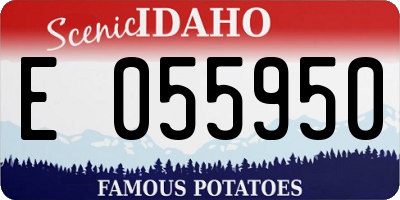 ID license plate E055950