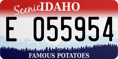 ID license plate E055954