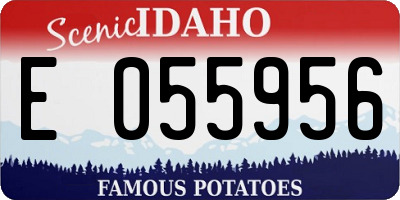 ID license plate E055956