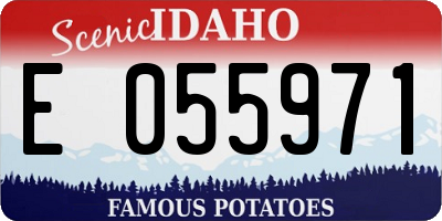 ID license plate E055971