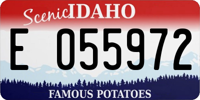 ID license plate E055972