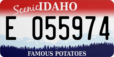 ID license plate E055974