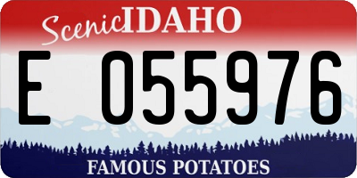 ID license plate E055976