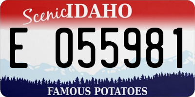 ID license plate E055981