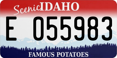 ID license plate E055983