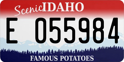 ID license plate E055984