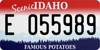 ID license plate E055989